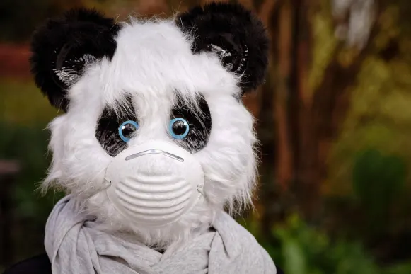 Kasino Cyber Bingo Tuki